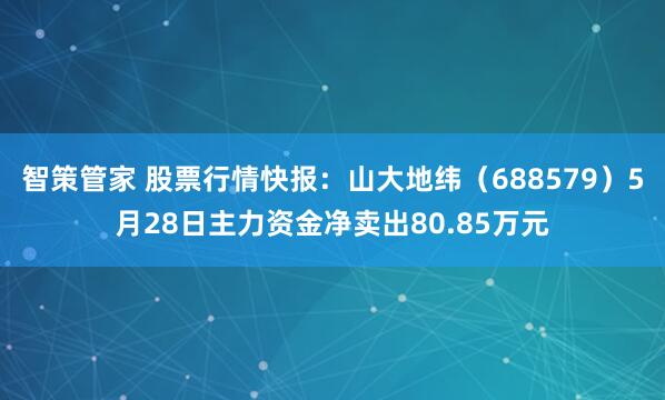 智策管家 股票行情快报：山大地纬（688579）5月28日主力资金净卖出80.85万元