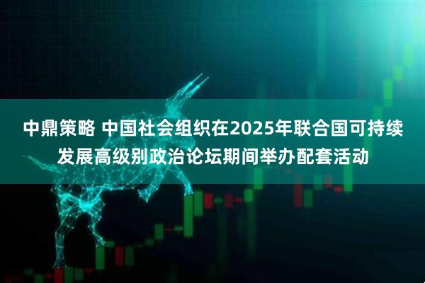 中鼎策略 中国社会组织在2025年联合国可持续发展高级别政治论坛期间举办配套活动