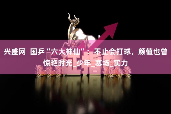 兴盛网 国乒“六大神仙”:不止会打球,颜值也曾惊艳时光_少年_赛场_实力
