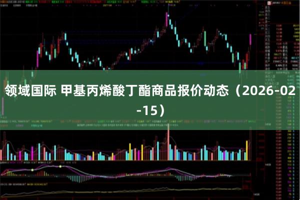 领域国际 甲基丙烯酸丁酯商品报价动态（2026-02-15）